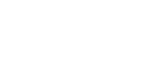 Feathers Transfers Logo