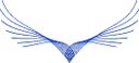 Feathers Transfers Logo