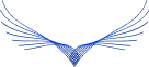 Feathers Transfers Logo